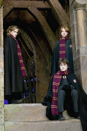 Gryffindor Harry Potter Šátek 190 cm